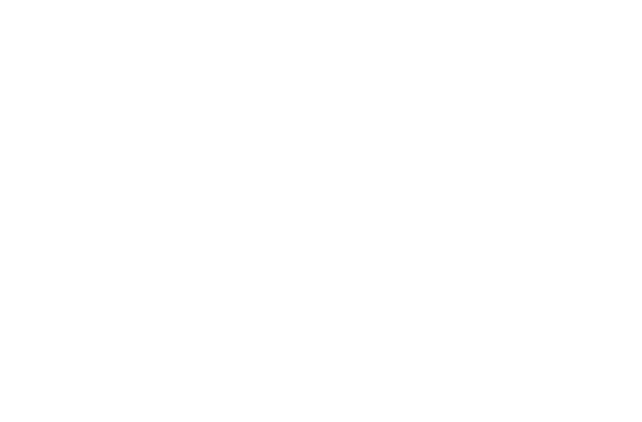 Reebok Strength